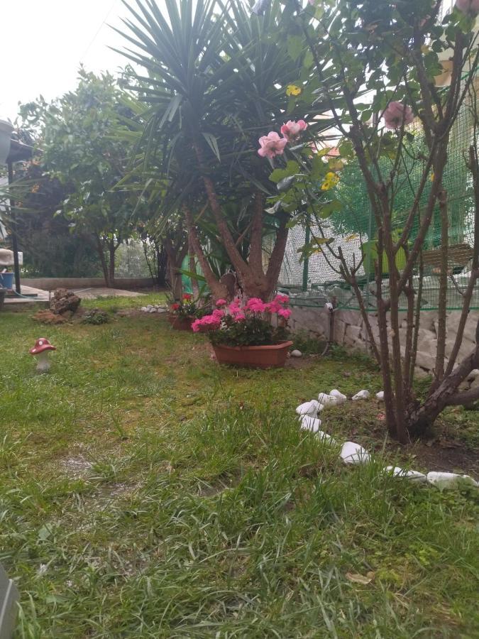Sofis Garden 호텔 카발라 외부 사진