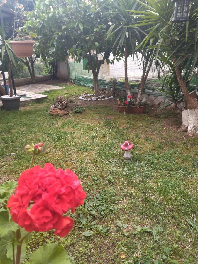 Sofis Garden 호텔 카발라 객실 사진